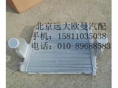 H4119302005A0,中冷器总成,北京远大欧曼汽车配件有限公司