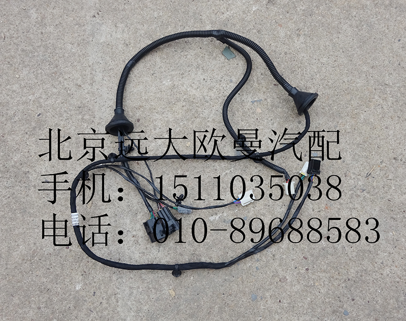 h0374110011,左车门线束ETX,北京远大欧曼汽车配件有限公司