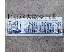 h050601010,车身标志牌（6380G）,北京远大欧曼汽车配件有限公司