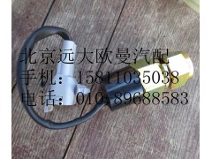 1419336601001,电动举升开关,北京远大欧曼汽车配件有限公司