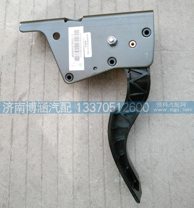 WG9925570001,电子油门总成,济南博涵汽配有限公司