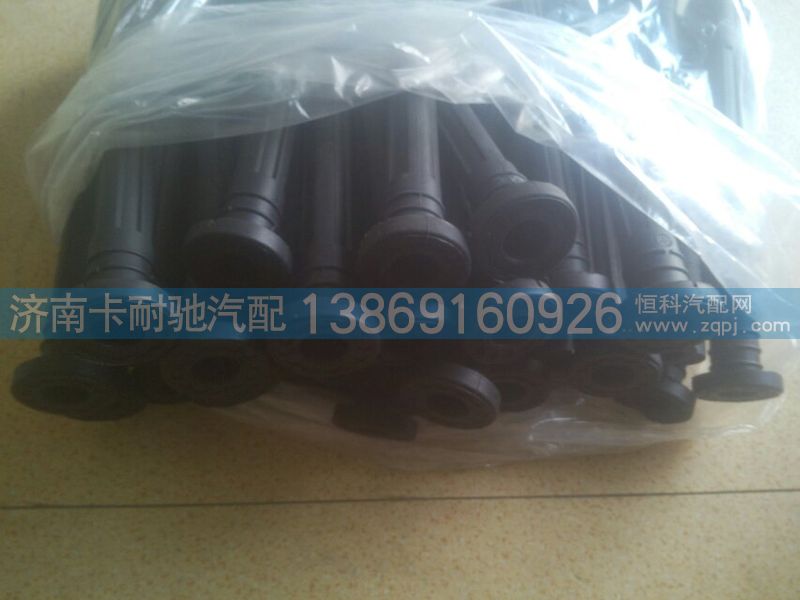 VG1540080400,重汽天然气发动机点火线圈总成,济南卡耐驰汽车配件有限公司