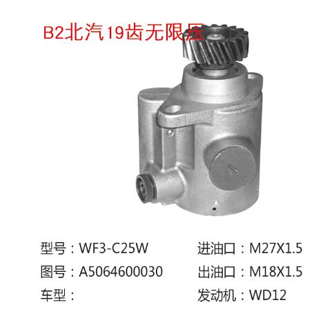 A5064600080,转向助力叶片泵,济南大瑞汽车配件有限公司