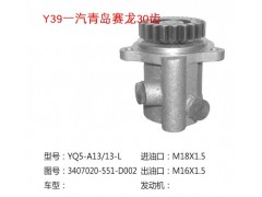 ZYB-06-13FN04,汽车转向助力泵,济南大瑞汽车配件有限公司