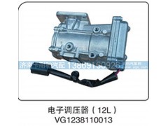 VG1238110013,电子调压器（12L）,济南卡耐驰汽车配件有限公司