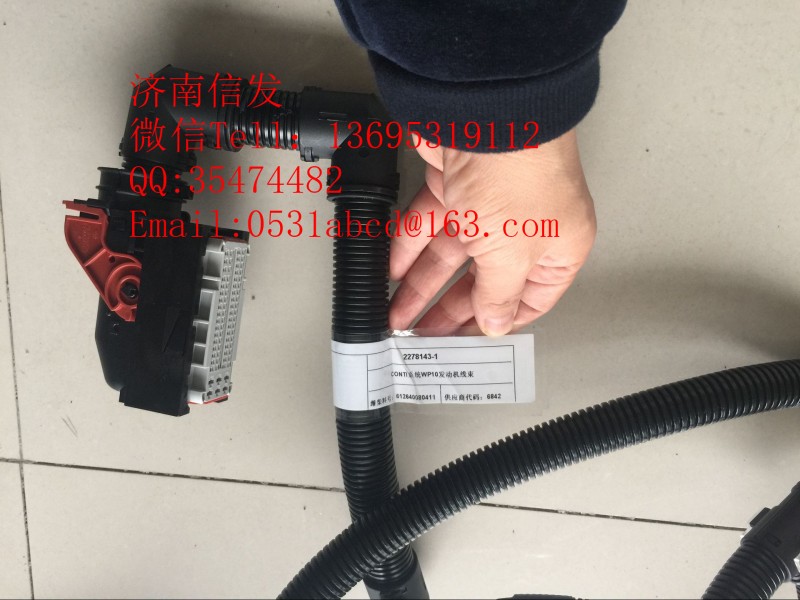 612640080411潍柴欧五发动机线束,612640080411潍柴欧五发动机线束,济南信发汽车配件有限公司