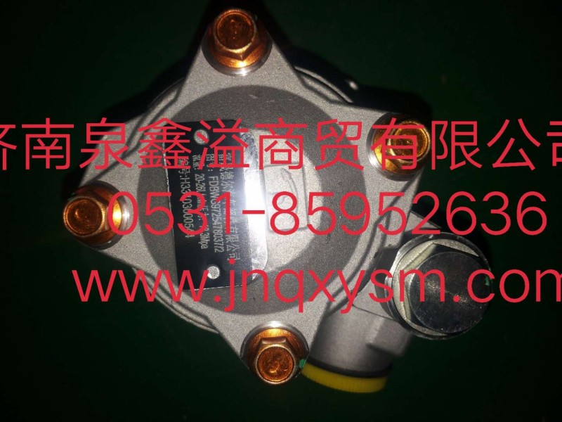 WG9725478037/2,转向泵,济南泉鑫溢商贸有限公司