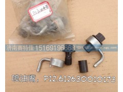 612630010173,P12机油喷嘴,山东百基安国际贸易有限公司