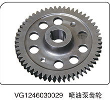 VG1246030029,喷油泵齿轮,山东百基安国际贸易有限公司