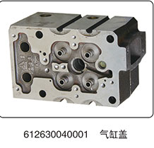 612630040001,气缸盖,山东百基安国际贸易有限公司