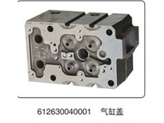 612630040001,气缸盖,山东百基安国际贸易有限公司