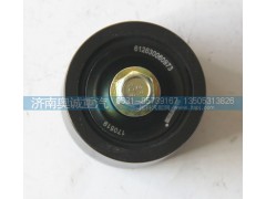 612630060973,皮带张紧轮,济南国盛汽车配件有限公司(原奥诚)