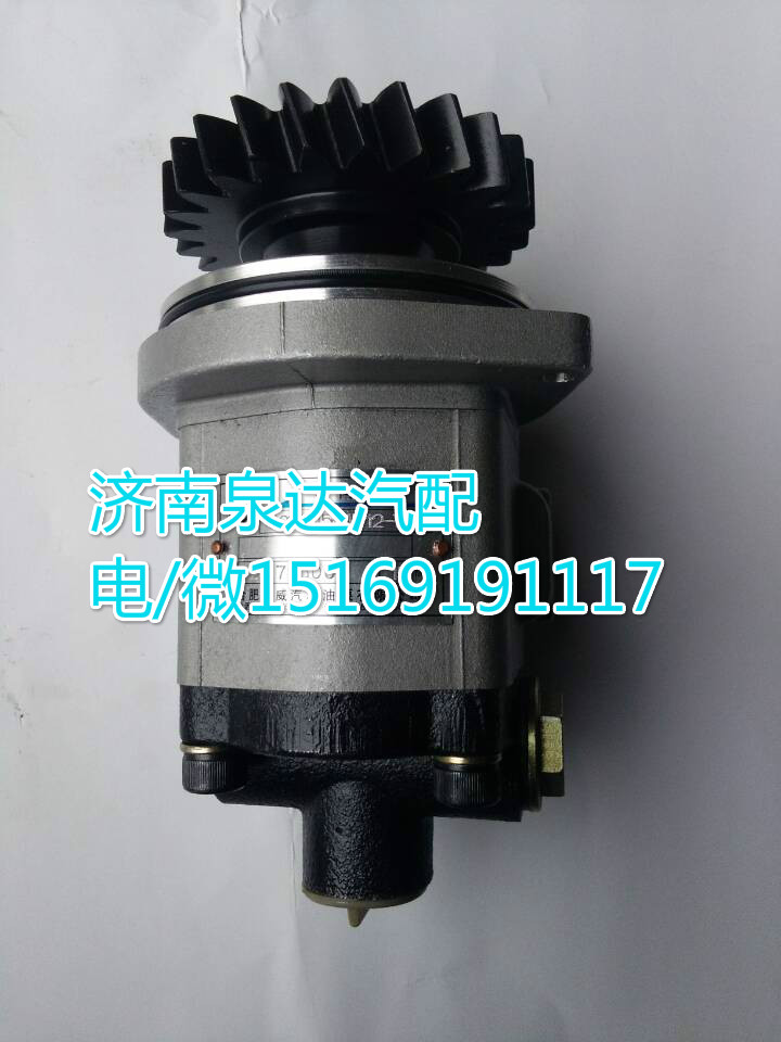 1032300111,转向巨力泵/齿轮泵,济南泉达汽配有限公司