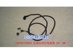 AZ9725770034,左组合后灯电线束190（BW）,济南百思特驾驶室车身焊接厂