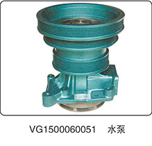 水泵VG1500060051图1
