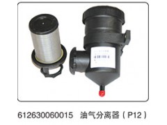 612630060015,油气分离器（P12）,山东百基安国际贸易有限公司