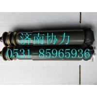 WG9725685325  减振器总成