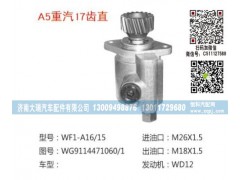 WG9114471060/1,转向泵,济南大瑞汽车配件有限公司
