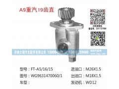 WG9631470060/1,转向泵,济南大瑞汽车配件有限公司