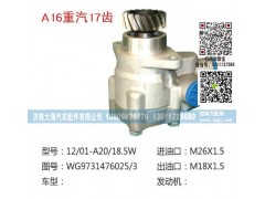 WG9725476025/3(QX861-4),转向泵,济南大瑞汽车配件有限公司