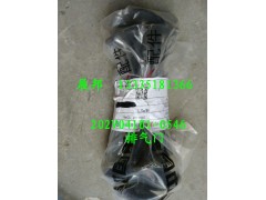 202V04101-0546,排气门,济南冠泽卡车配件营销中心