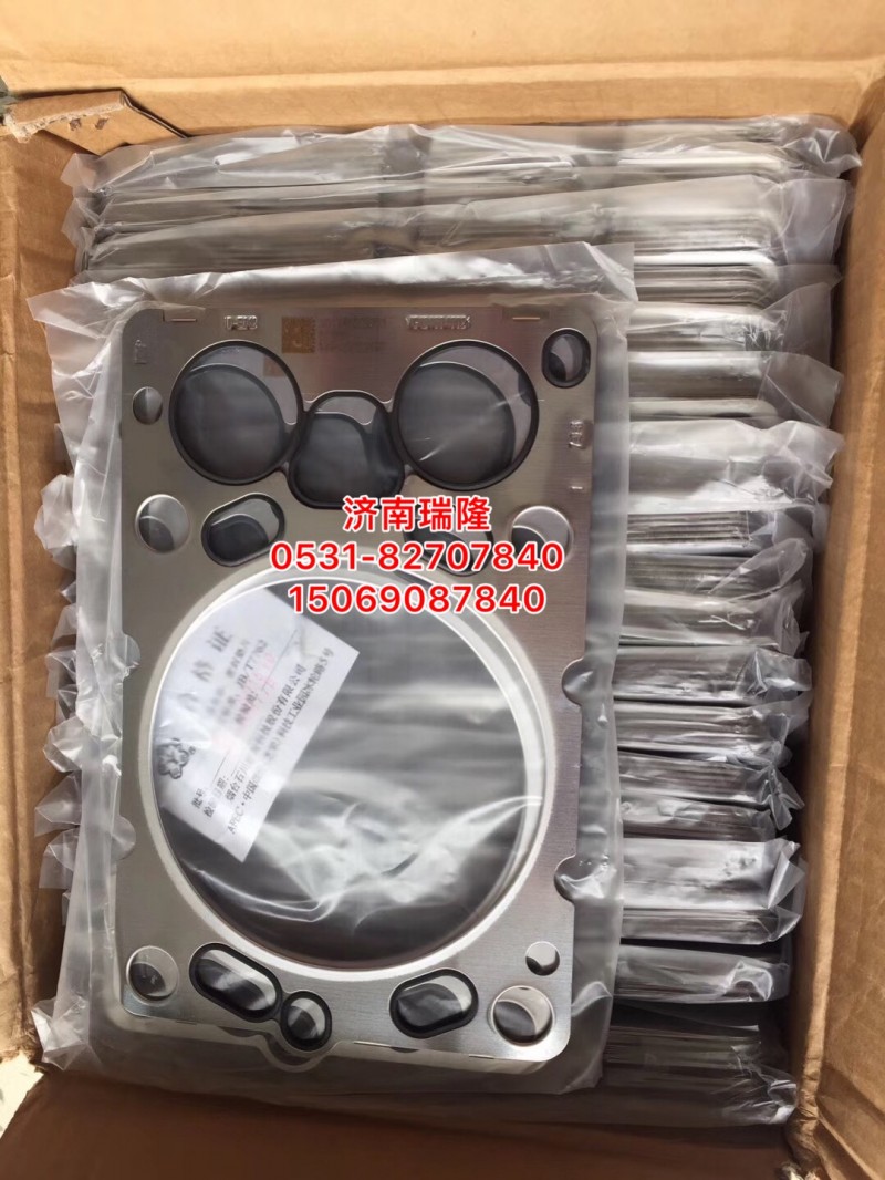 VG1246040021,,济南瑞隆工贸重卡动力专营