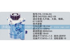 3407020-AKZ-09,转向泵,济南泉达汽配有限公司