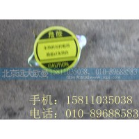 1124113100007副水箱盖