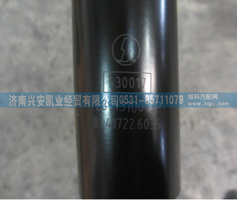 81.41722.6036,陕汽德龙驾驶室横向减震器 减震器总成,济南兴安凯业经贸有限公司