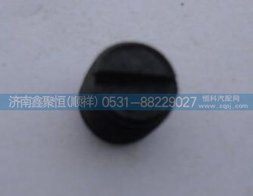 變速箱倒車軸套頭螺絲RT11509C-5202/RT11509C-5202