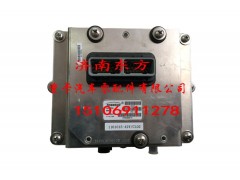 258437 天纳克6.0,尿素泵,济南东方重汽配件销售中心