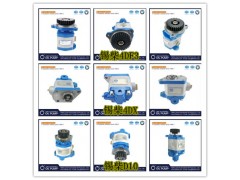1124134000021,齿轮泵、助力泵、转向助力泵,济南索向汽车配件有限公司