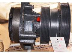 612600060229,水泵,济南大瑞汽车配件有限公司