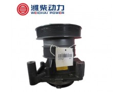 612600061941,水泵,济南大瑞汽车配件有限公司
