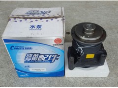 612600061444,水泵,济南大瑞汽车配件有限公司