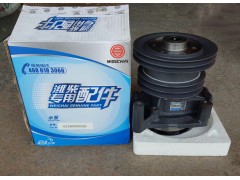 612600060338,水泵,济南大瑞汽车配件有限公司