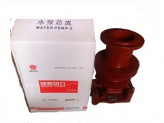 612600060996,水泵,济南大瑞汽车配件有限公司