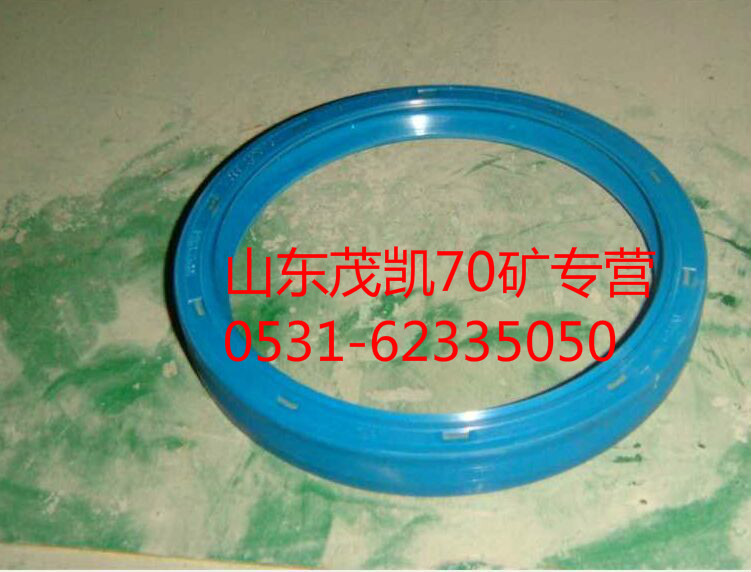 WG9970320123,70矿中桥角齿油封,山东茂凯商贸有限公司