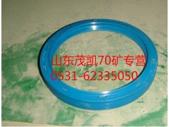 WG9970320123,70矿中桥角齿油封,山东茂凯商贸有限公司