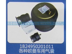 1B24950201011,各种欧曼车用气囊,济南欧德泉跃汽车配件有限公司