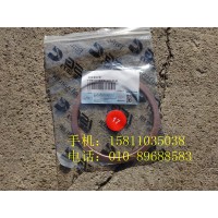 H0120100006A0铜质密封垫
