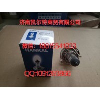重汽豪沃發動機等配件 N072601024902 白熾燈泡