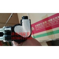 油位傳感器WG9925550702