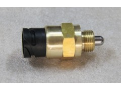 811W25503-0244 压力开关