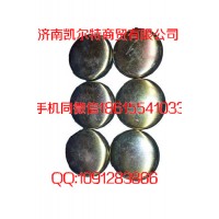 斯太爾 豪沃發(fā)動(dòng)機(jī)配件  90003989210   水堵