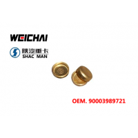 WEICHAI 發(fā)動(dòng)機(jī)總成90003989721缸蓋碗形塞