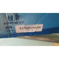 13052126潍柴道依茨  AECU线束（气）
