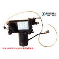 DZ93259820200 電動(dòng)油泵總成 SHACMAN