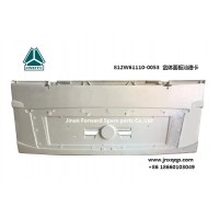 812W61110-0053 宽体面板汕德卡 panel