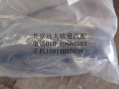 1B22037100007,左视廓灯,北京远大欧曼汽车配件有限公司
